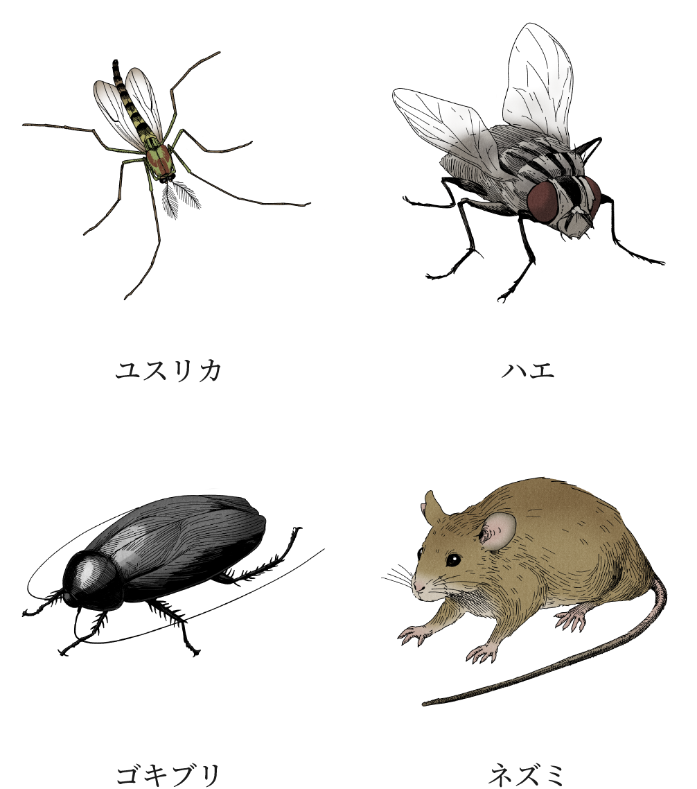 ユスリカ、ハエ、ゴキブリ、ネズミ