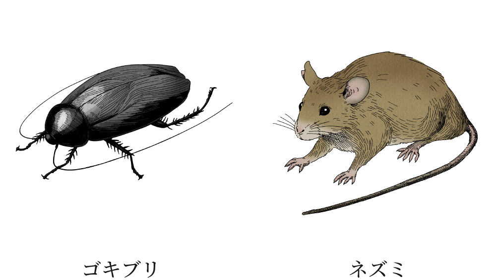 ゴキブリ、ネズミ